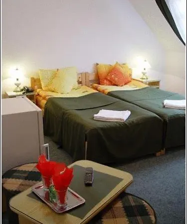 Casa Alesiv Hotel 3*